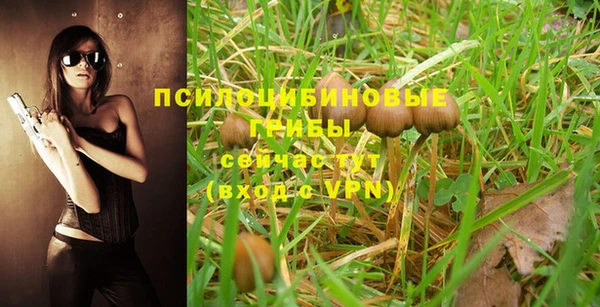 эйфоретик Гусев