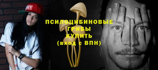 тгк Гусь-Хрустальный