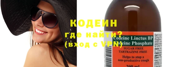 эйфоретик Гусев
