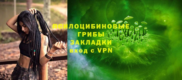 эйфоретик Гусев