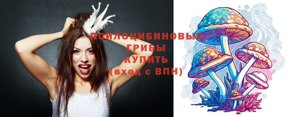 тгк Гусь-Хрустальный