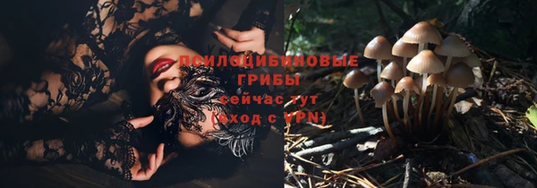 каннабис Гусиноозёрск