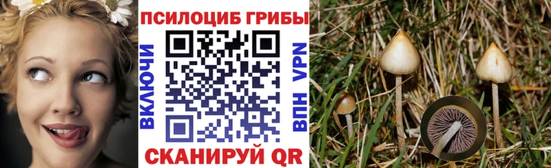 Купить  Улан-Удэ  Псилоцибиновые грибы мицелий 