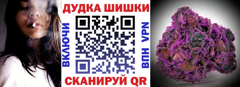 Купить где  Улан-Удэ  Бошки марихуана Amnesia 